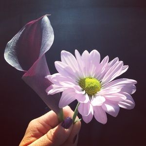 Meet your Posher, Shannon